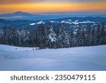 Stunning snow covered pine forest and wide, empty winter ski slope at sunrise, Poiana Brasov ski resort, Transylvania, Romania, Europe