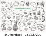 big collection of fruits on... | Shutterstock .eps vector #368227202