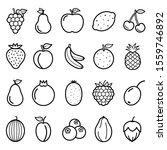 fruits vector line icons set.... | Shutterstock .eps vector #1559746892