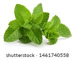 Fresh Leaf Mint Green Herbs...