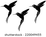 Hummingbird Silhouettes With...