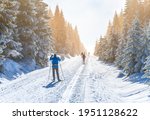 Cross-country skiing in winter nature