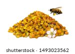 illustrated pile of bee pollen... | Shutterstock .eps vector #1493023562
