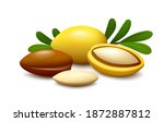 whole and half fruits of argan  ... | Shutterstock .eps vector #1872887812