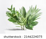 Various green tropical leaves  bunch on white table at wall background. Floral setting with palm branches. Front view.