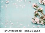 Spring Nature Background With...