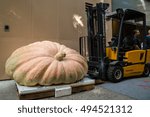 Small photo of NEW YORK - OCTOBER 16: America's largest pumpkin of 2015 weighing 2230 lb grown by Ron Wallace is being brought over to 'Live With Kelly & Michael' TV Show on October 16, 2015 in New York City.