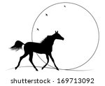  Illustration Of Running Horse...