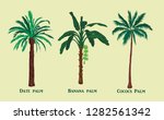 Palms Leaves Vector Set