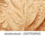 Small photo of a photography of a close up of a leaf with a brown background, buckler of a leaf with a brown background.