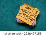 Small photo of habit is a persistence in practice - inspirational reminder note, personal development concept