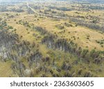 Nebraska National Forest near Halsey after wildfire - late summer aerial view