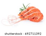 Fresh Cooked Shrimp Isolated On ...