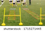Small photo of Soccer field with training equipment and players with coach in background. Junior football team training and coach. Sport team on training. Football training equipment: ladder, hula hoop, hurdle, cone