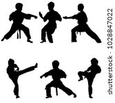 Young Karate Boys Silhouettes ...