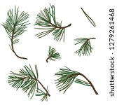 Vector Pine Branches With Green ...