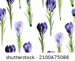 watercolor drawing seamless... | Shutterstock . vector #2100675088