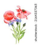 watercolor drawing bouquet of... | Shutterstock . vector #2164337365