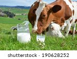 Milk And Cows. Emmental Region  ...