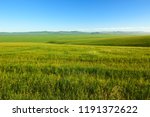 The Muzigler river valley of Hulunbuir grassland of China.