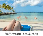 Flamingos beach in Aruba. Young woman resting