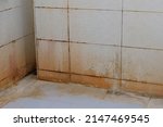 Mold Stains On Bathroom Walls