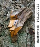 Small photo of TICEHURST, EAST SUSSEX, ENGLAND - MAY 18, 2019: Carved Face artwork on tree.