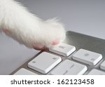 Cat pressing ESC button on keyboard