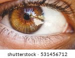 Small photo of Detail of human eye. Brown colored eye. Close up to retina, cornea, pupil, eyelashes, sclera. Zoom of eye ball. Auto portrait in eye. Macro photography. Vision, perception, light, sense organ.
