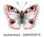 Unusual  Realistic Butterfly...