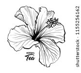 Hawaiian Hibiscus Fragrance...