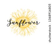 Sunflower Blossom Sketch Vector ...