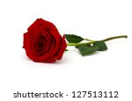 A Red Rose Bloom By Gift