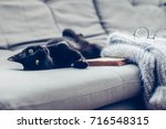 Lazy Cat Lying By Warm Woolen...