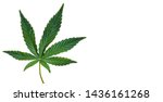 Hemp Or Cannabis Leaf Isolated...