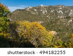 Small photo of Autumn view of Anathema hill in Rhodopes Mountain from Asen's Fortress, Asenovgrad, Plovdiv Region, Bulgaria