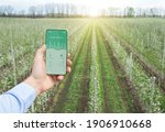 Small photo of Smart agriculture and modern technologies concept. Agriculturer with phone using mobile app to control temp, humidity, life cycle of harvest cultivation outside, free space. Collage