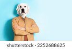 Small photo of Confident man in casual outwear with white retriever labrador head crossing arms on chest, guy standing looking at camera over blue background, creative image, panorama with copy space