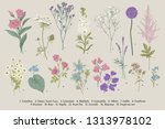 set summer flowers. classical... | Shutterstock .eps vector #1313978102