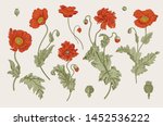 vintage vector botanical... | Shutterstock .eps vector #1452536222