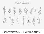 vintage vector botanical... | Shutterstock .eps vector #1784665892
