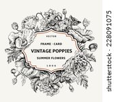 vintage floral frame with... | Shutterstock .eps vector #228091075