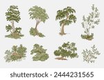 Set of trees and bushes. Vector vintage illustration.
