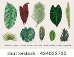 set leaf. exotics. vintage... | Shutterstock .eps vector #434023732