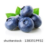 Blueberries with leaves isolated on white