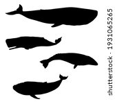 Vector Set Of Black Whale...