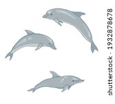 vector set of cartoon dolphin... | Shutterstock .eps vector #1932878678