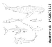 vector set of sketch sharks.... | Shutterstock .eps vector #1932878825