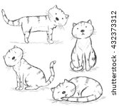 Vector Set Of Sketch Cat...