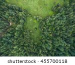 Aerial Forest View At Summer...